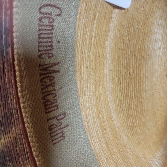 Charlie One Horse Tularosa rainbow tie- dye palm straw hat new - Picture 4 of 5